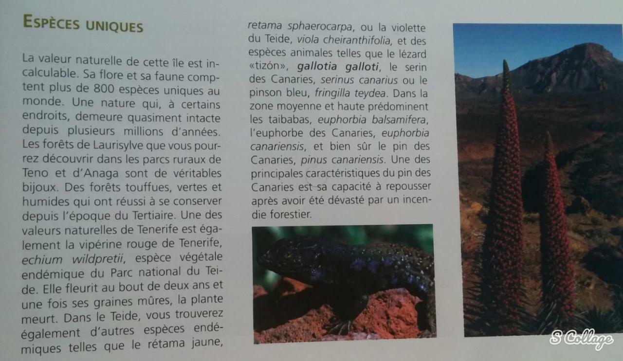 Finca Dulce Maikel غراناديا دي أبونا المظهر الخارجي الصورة