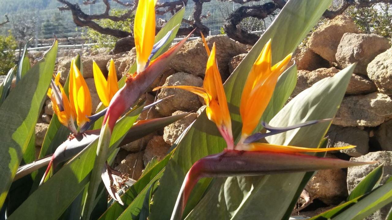 Finca Dulce Maikel غراناديا دي أبونا المظهر الخارجي الصورة